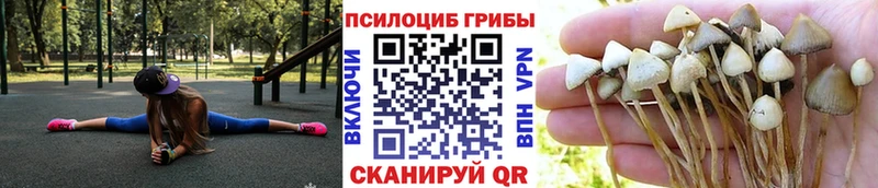 hydra ссылка Дыгулыбгей Псилоцибиновые грибы мухоморы купить наркотики сайты